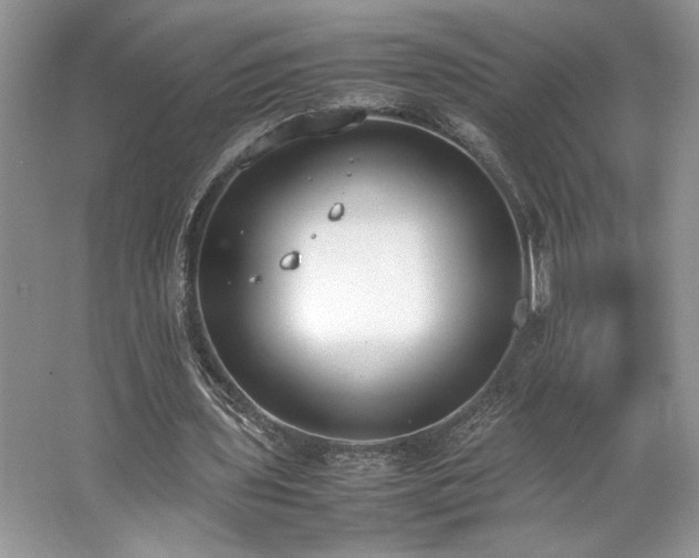 X0000062670435200512211339