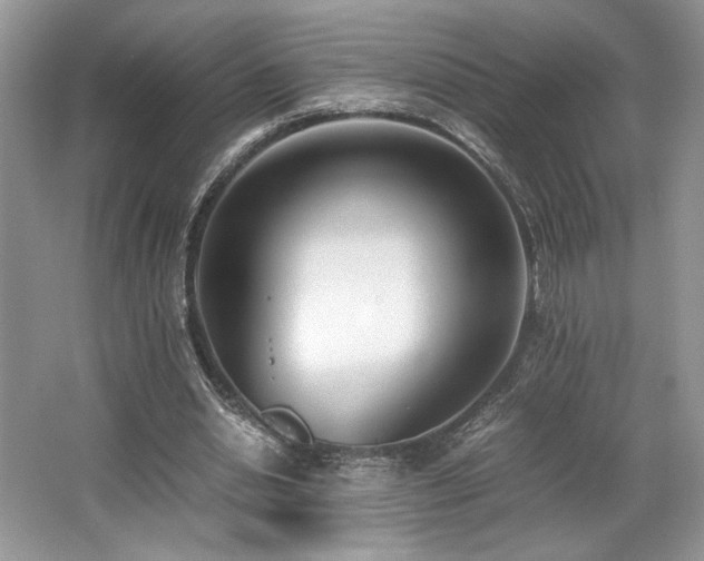 X0000062670438200512211339