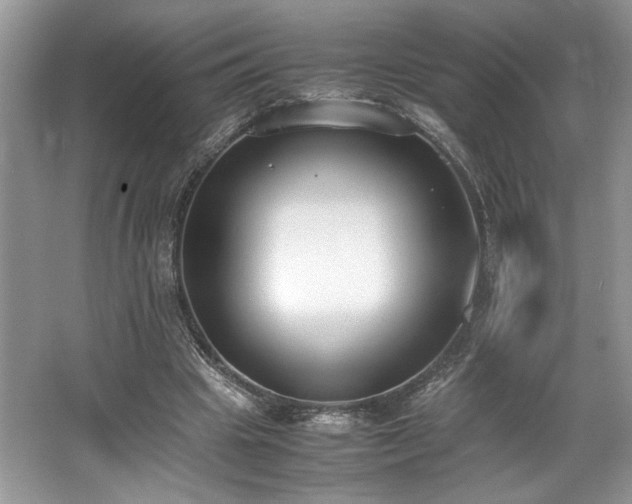 X0000062670441200512211339