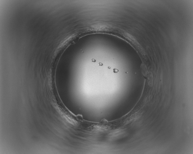 X0000062670442200512211339