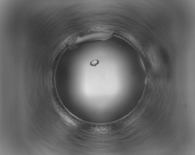 X0000062670445200512211339