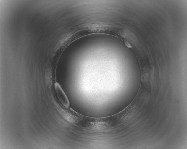 X0000062670448200512211339