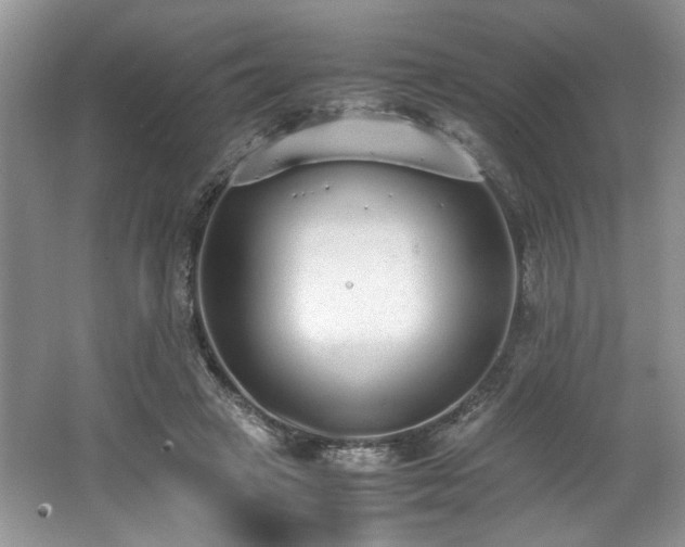 X0000062670449200512211339