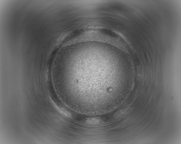 X0000062670451200512211339