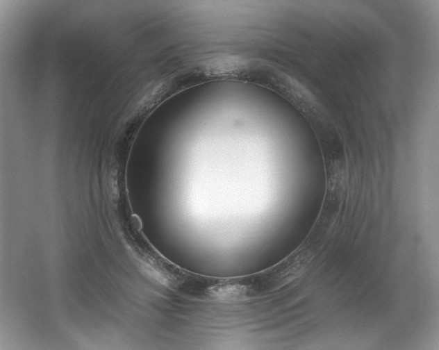 X0000062670452200512211339