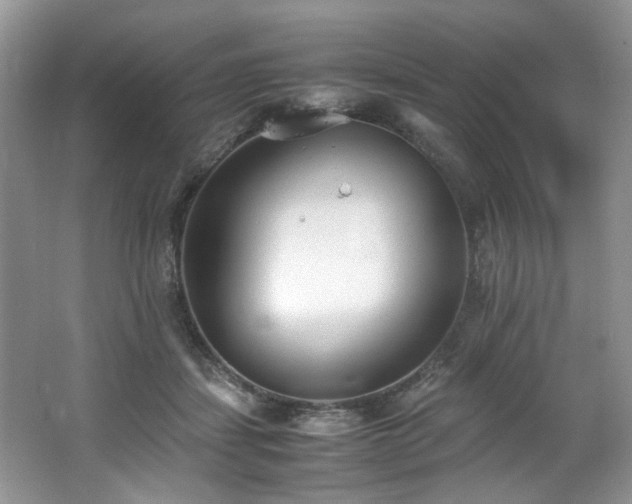 X0000062670459200512211340