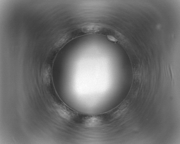 X0000062670460200512211340