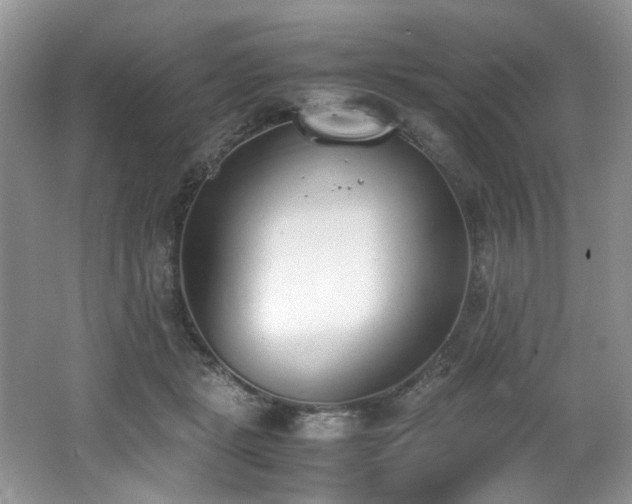 X0000062670461200512211340