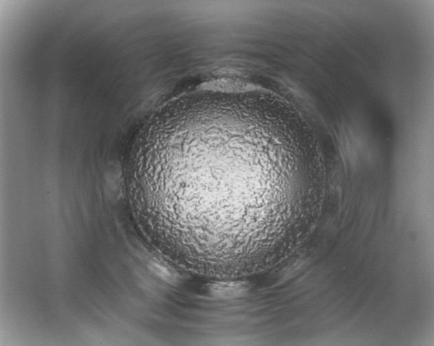 X0000062670465200512211340