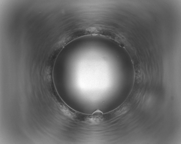 X0000062670466200512211340