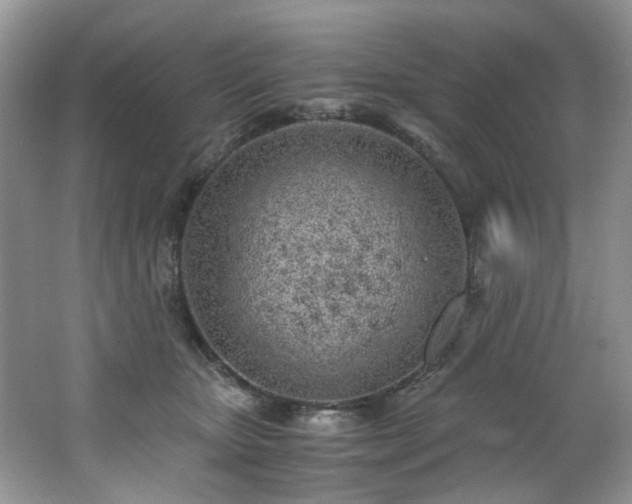 X0000062670467200512211340