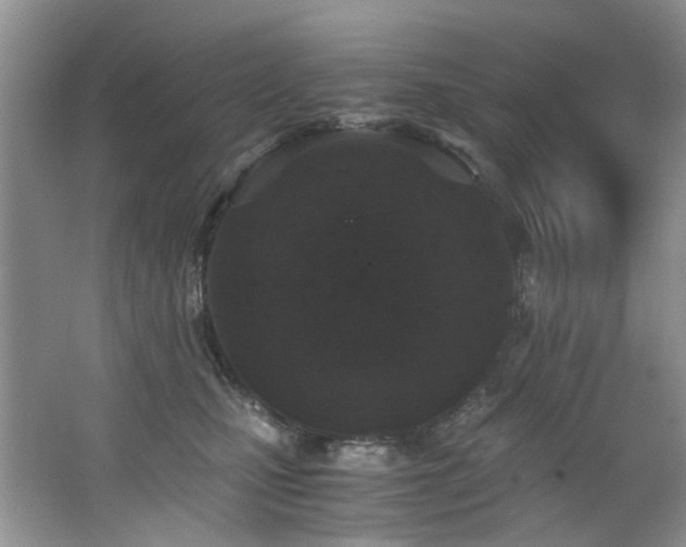 X0000062670471200512211340