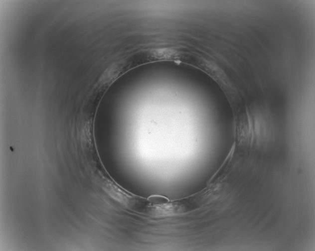 X0000062670473200512211340