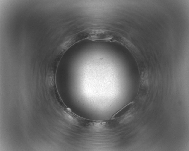 X0000062670474200512211340