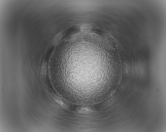 X0000062670475200512211340