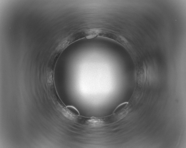 X0000062670477200512211340