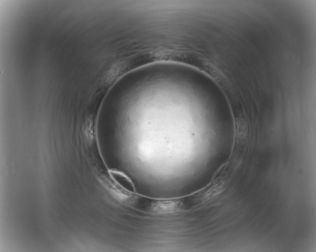 X0000062670479200512211340