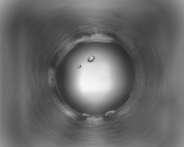 X0000062670480200512211340