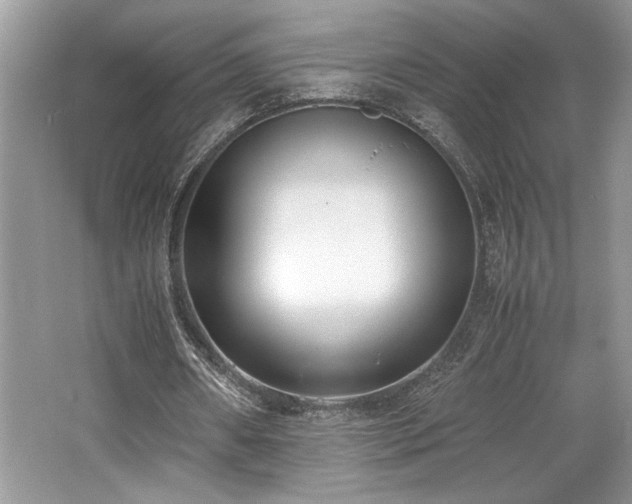 X0000062670482200512211339