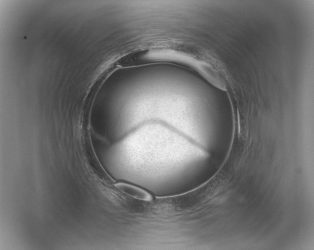 X0000062670483200512211339