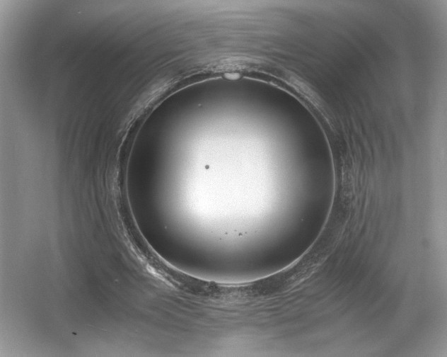 X0000062670485200512211339