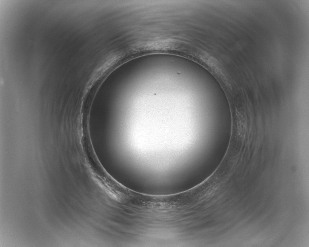 X0000062670486200512211339