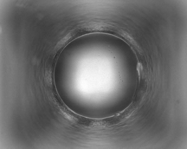 X0000062670489200512211339