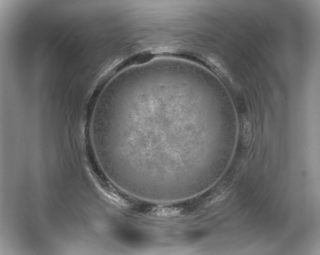 X0000062670491200512211339