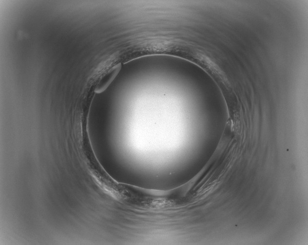 X0000062670493200512211339