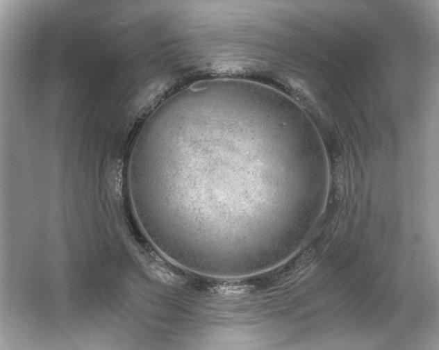 X0000062670495200512211339