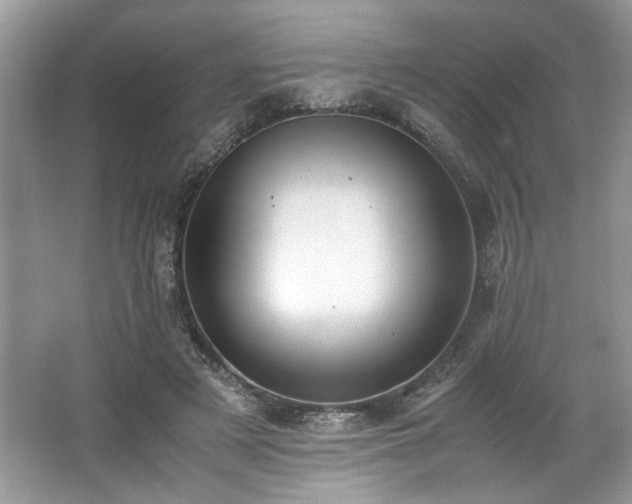 X0000062670497200512211339