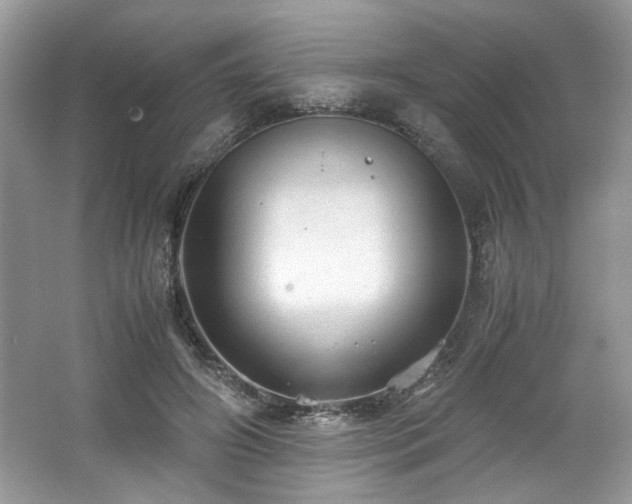 X0000062670498200512211339