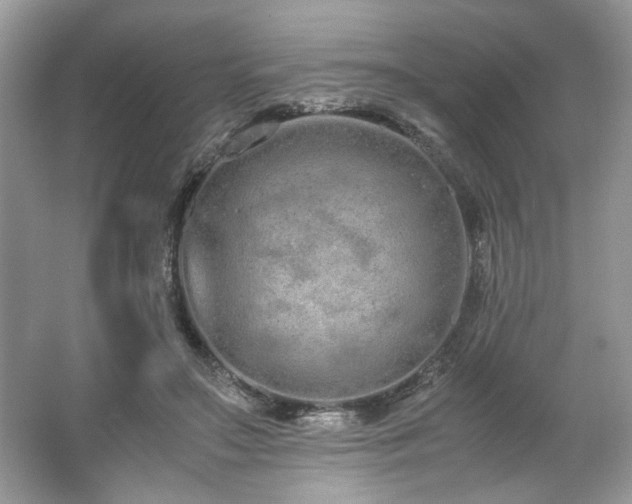 X0000062670499200512211339