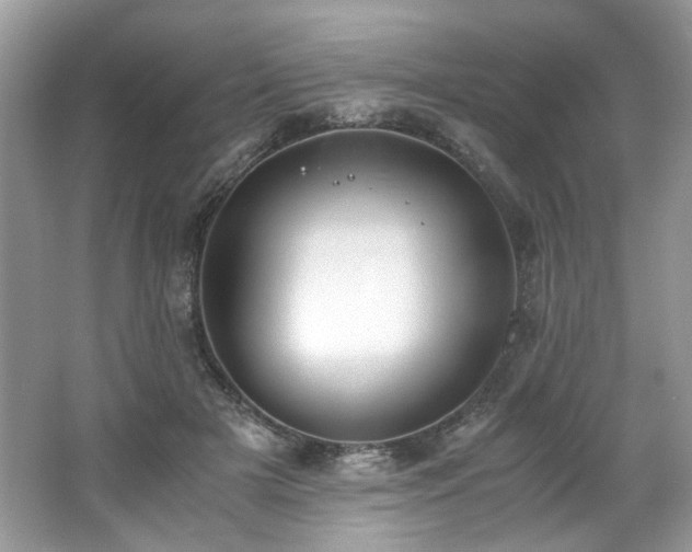 X0000062670505200512211339