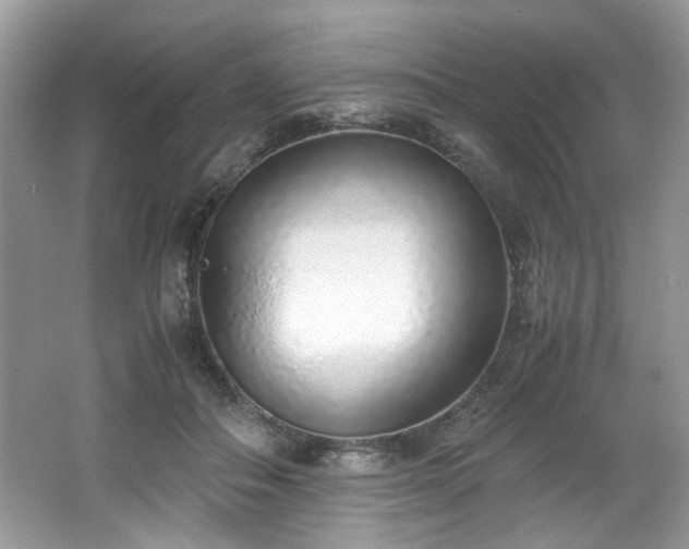 X0000062670506200512211339