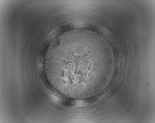 X0000062670507200512211339