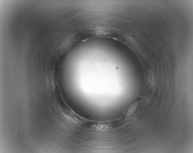 X0000062670512200512211339