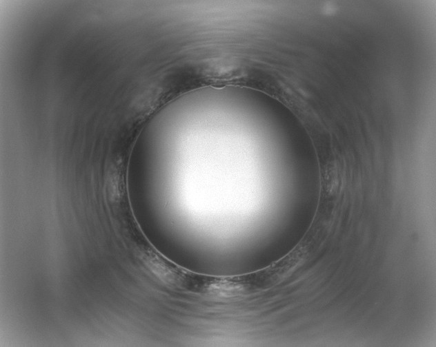 X0000062670515200512211338