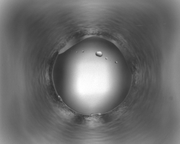 X0000062670516200512211338