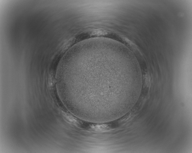 X0000062670517200512211338