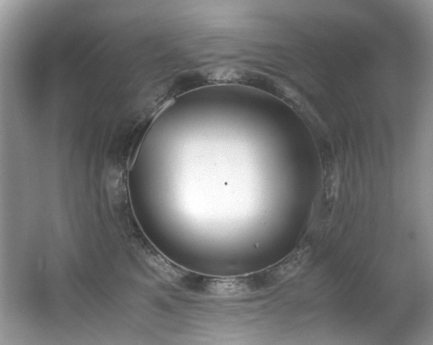 X0000062670521200512211338