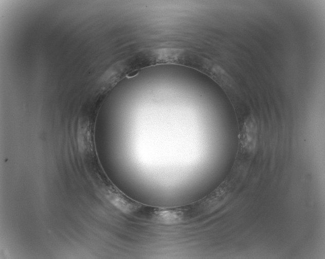 X0000062670522200512211338