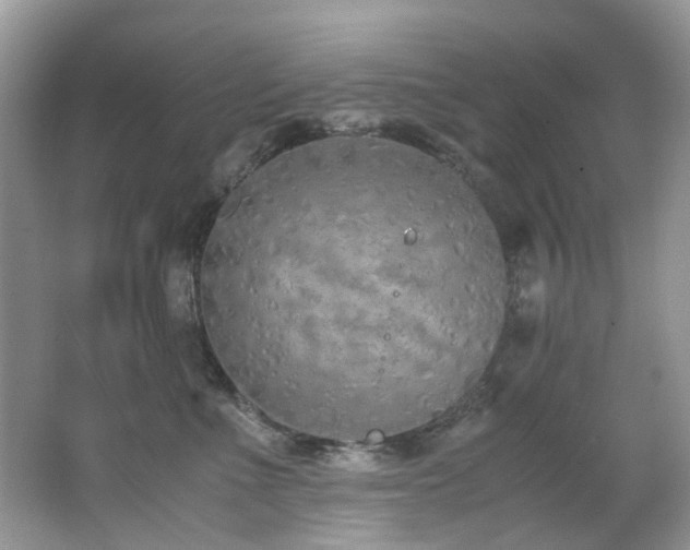 X0000062670523200512211338