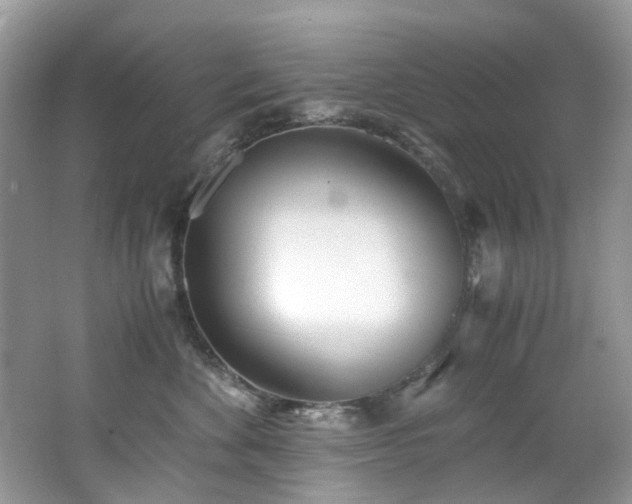 X0000062670524200512211338