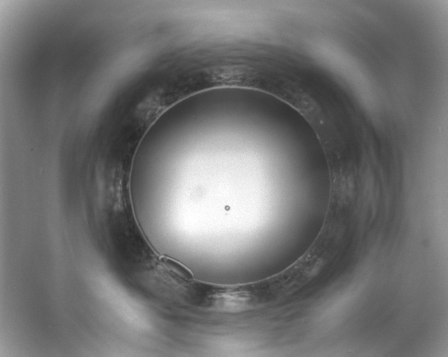 X0000062670525200512211338