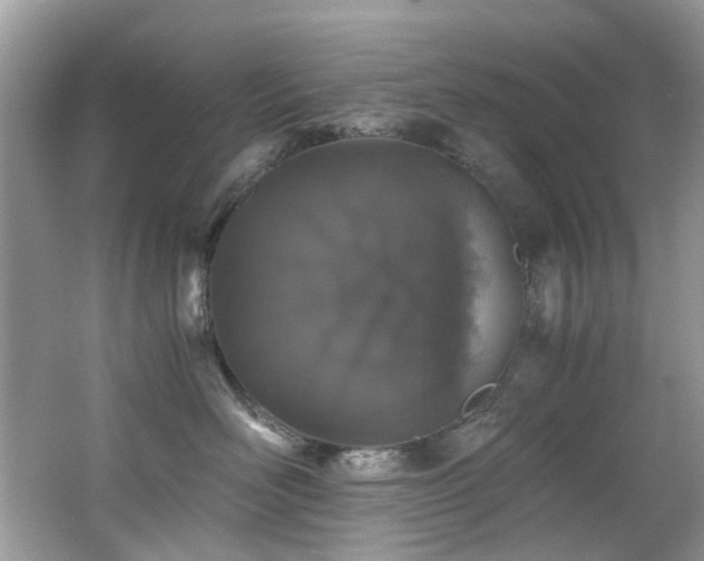 X0000062670526200512211338