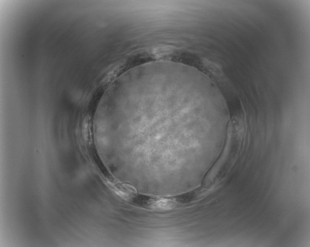 X0000062670527200512211338