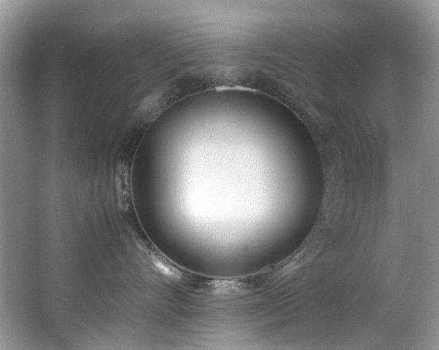 X0000062670528200512211338