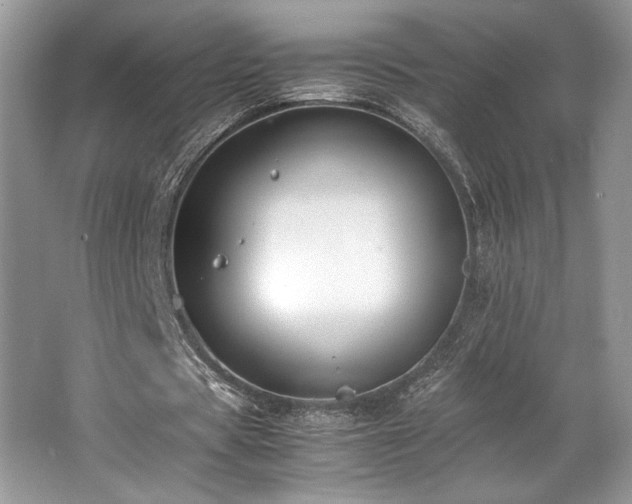 X0000062670529200512211337