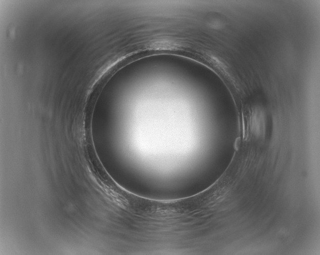 X0000062670531200512211337